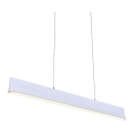 LUXERA 18414 - Lustră LED dimabilă suspendată pe cablu OBLO LED/30W/230V