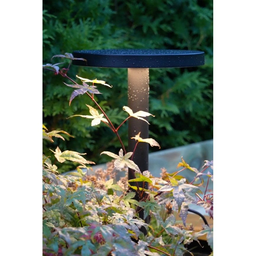 Markslöjd 108173 - Lampă LED de exterior GARDEN24 LED/5W/24V 96 cm IP44 neagră