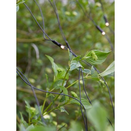 Markslöjd 108178 - perdea LED de exterior pentru Crăciun GARDEN24 160xLED/4W/24V 2x2m alb cald