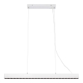 Markslöjd 108892 - Lustra LED reglabilă suspendată pe cablu PLANO LED/38W/230V albă
