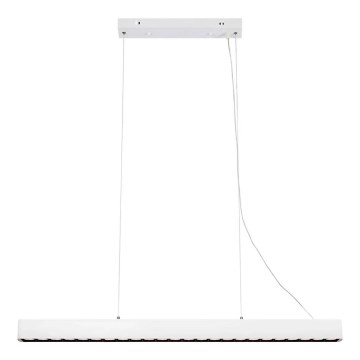 Markslöjd 108892 - Lustra LED reglabilă suspendată pe cablu PLANO LED/38W/230V albă
