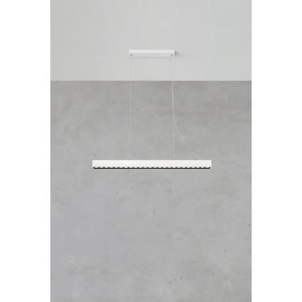 Markslöjd 108892 - Lustra LED reglabilă suspendată pe cablu PLANO LED/38W/230V albă