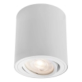 Markslöjd 109020 - Spot LED dimabil DIRETTO, 5W/230V, CRI 90, alb