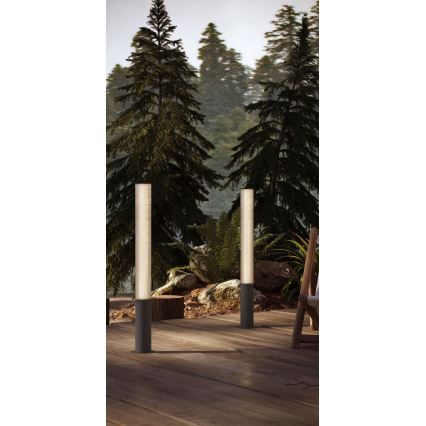 MAXLIGHT F0065 - Lampă LED de exterior GARDENIA LED/25W/230V 105 cm CRI 93 IP65 antracit
