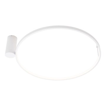 MAXLIGHT W0434 - Plafonieră LED pentru baie VISUAL LED/22W/230V Ø 60 cm IP44 albă