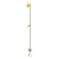 MAXLIGHT W0449 - Lampă de perete LED BINGO LED/8W/230V CRI 92 auriu/bej