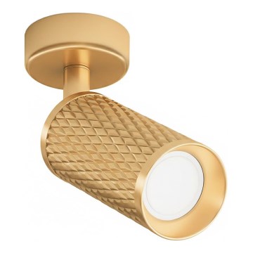 Maytoni C034CL-01G - Spot FOCUS 1xGU10/10W/230V, auriu