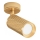 Maytoni C034CL-01G - Spot FOCUS 1xGU10/10W/230V, auriu