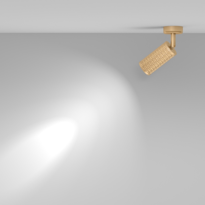 Maytoni C034CL-01G - Spot FOCUS 1xGU10/10W/230V, auriu