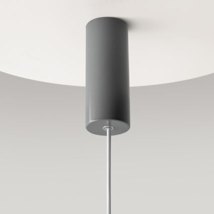 Maytoni MOD189PL-L12GR3K1 - Lustră LED suspendată pe cablu GERHARD LED/19W/230V gri