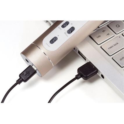 Microfon karaoke Bluetooth 6W/5V 1500 mAh auriu