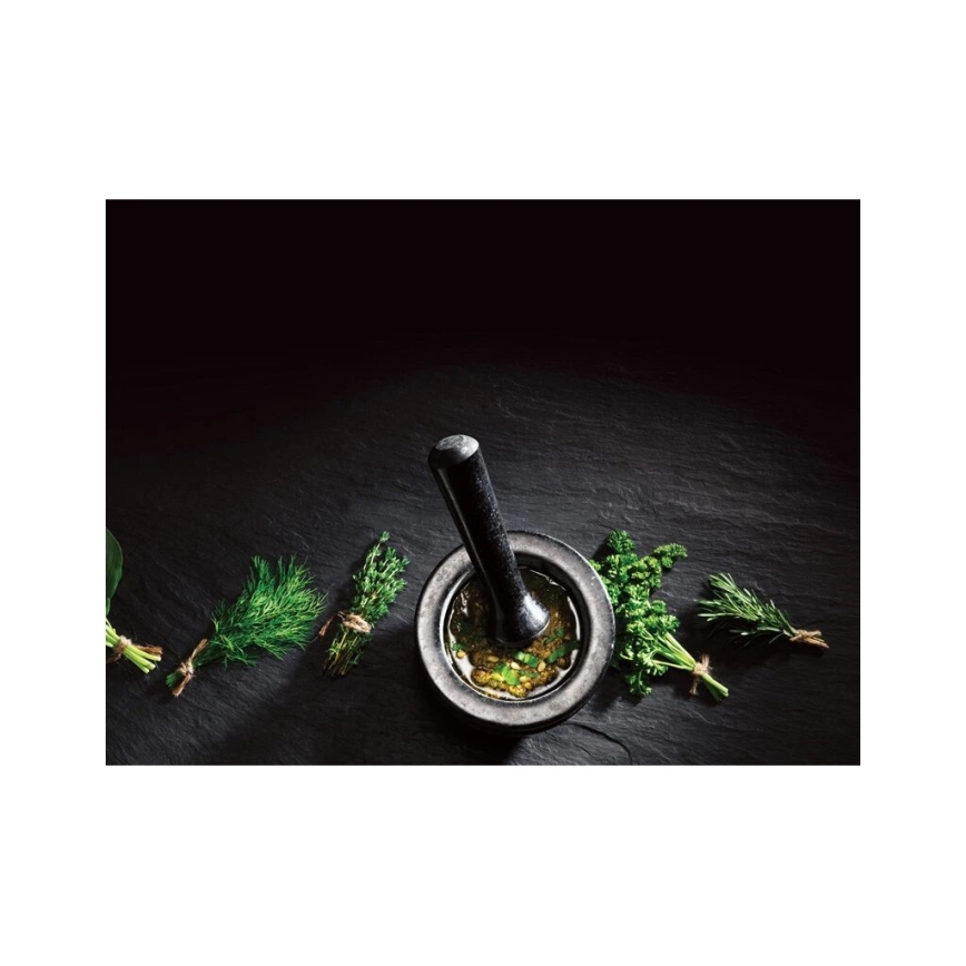 Mojar cu pistil din granit Cole&Mason GRANITE d. 14 cm granit/negru