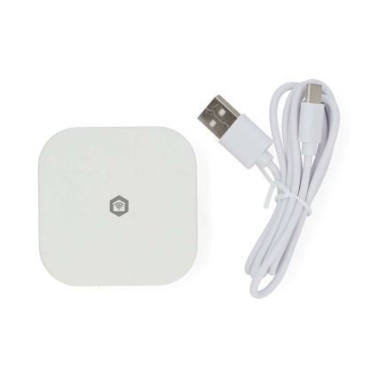 Gateway inteligent SmartLife 5V Wi‑Fi