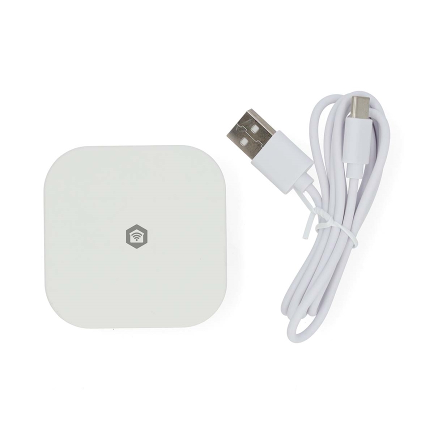 Gateway inteligent SmartLife 5V Wi‑Fi