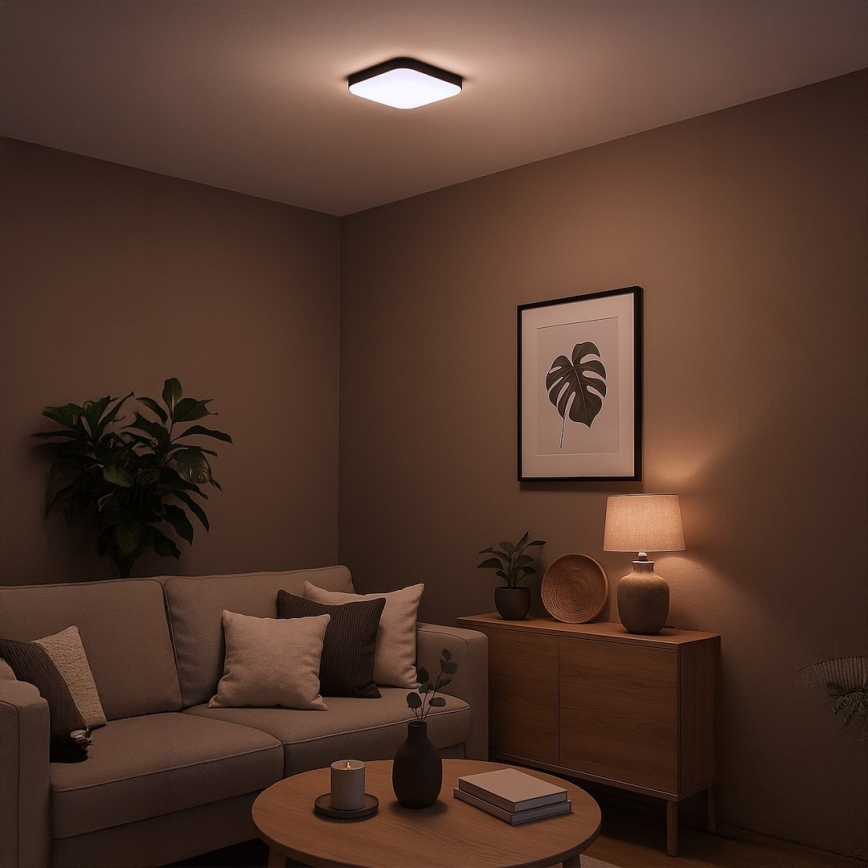 NEMO Plafonieră LED, 11 W, 230 V, 26 x 26 cm, negru