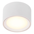 Nordlux - Spot LED dimabil FALLON LED/5,5W/230V alb