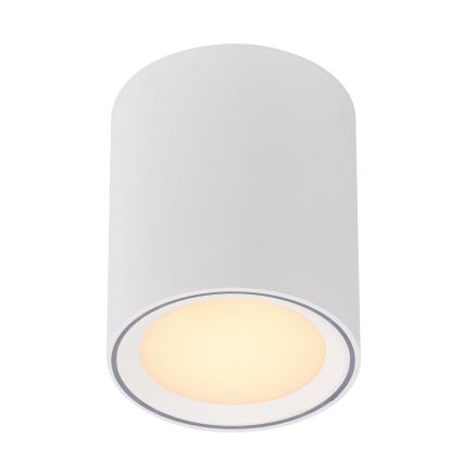 Nordlux - Spot LED dimabil FALLON LONG LED/5,5W/230V alb