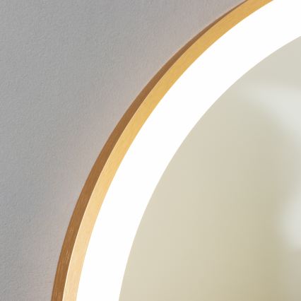 Brilagi - Oglindă de baie LED ERBA LED/25W/230V 50x80 cm aurie IP44 CRI 90 dimmabilă + CCT