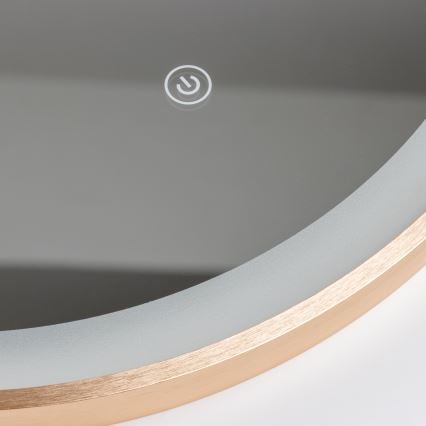 Brilagi - Oglindă de baie LED ERBA LED/25W/230V 50x80 cm aurie IP44 CRI 90 dimmabilă + CCT