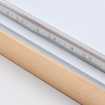 Brilagi - Oglindă de baie LED ERBA LED/25W/230V 50x80 cm aurie IP44 CRI 90 dimmabilă + CCT
