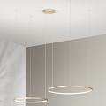 Ondaluce - Lustră LED dimabilă pe cablu SOEL LED/28W/230V + LED/38W Ø 80/60 cm aurie