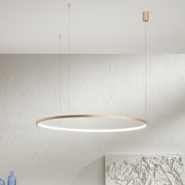 Ondaluce - Lustră LED reglabilă suspendată pe cablu SOEL LED/28W/230V Ø 60 cm auriu