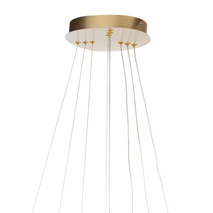 ONLI - corp de iluminat suspendat NOELIA LED/40W/230V, auriu