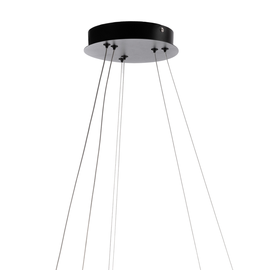 ONLI - Pendul LED pe cablu NOELIA, 30W/230V, negru