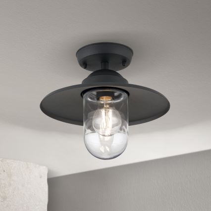 Lustră aplicată de exterior EDWARD 1xE27/60W/230V IP44 antracit