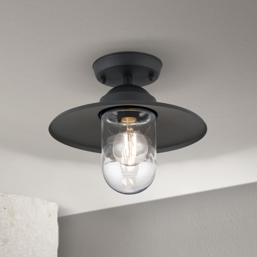 Lustră aplicată de exterior EDWARD 1xE27/60W/230V IP44 antracit