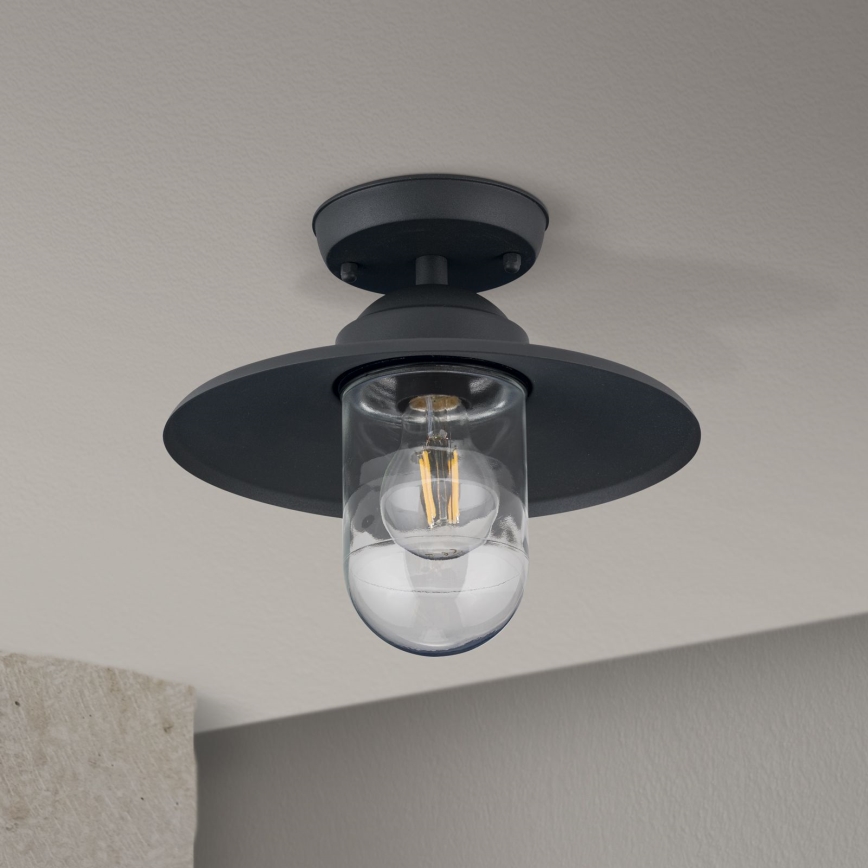 Lustră aplicată de exterior EDWARD 1xE27/60W/230V IP44 antracit