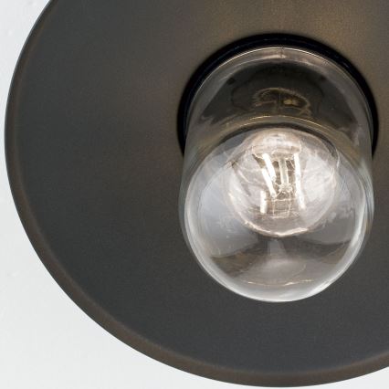 Lustră aplicată de exterior EDWARD 1xE27/60W/230V IP44 antracit