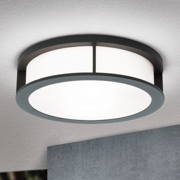 Orion - Aplică de exterior HENRY, 2xE27/15W/230V, Ø 30 cm, IP44, antracit