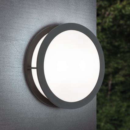 Aplică de exterior HENRY, 2xE27/15W/230V, Ø 30 cm, IP44, antracit
