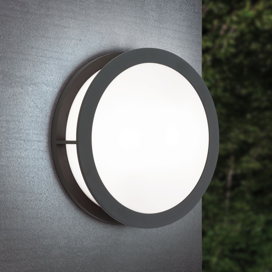 Aplică de exterior HENRY, 2xE27/15W/230V, Ø 30 cm, IP44, antracit