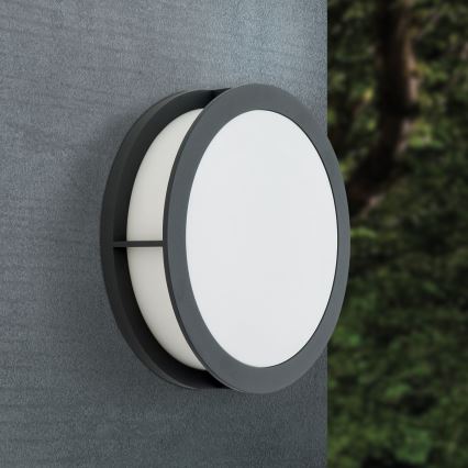 Aplică de exterior HENRY, 2xE27/15W/230V, Ø 30 cm, IP44, antracit