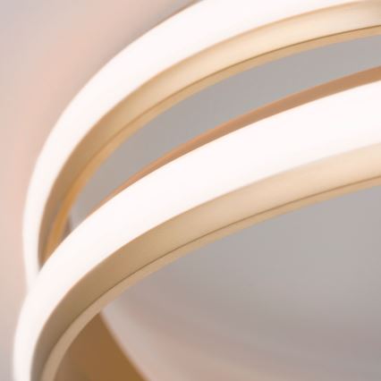 Plafonier LED dimabil CIRCUS LED/30W/230V auriu