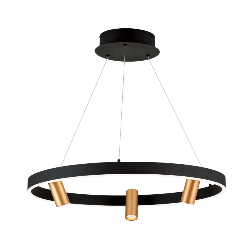 Candelabru LED reglabil pe cablu BERLIN LED/50W/230V negru/auriu