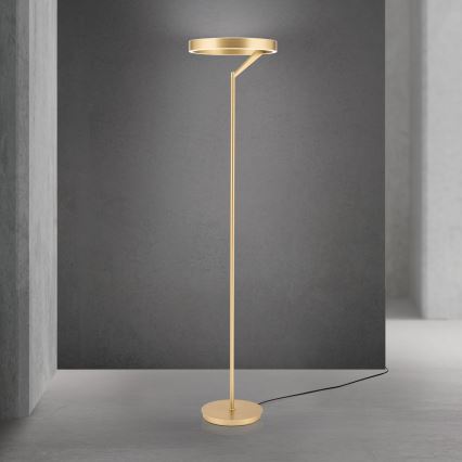 Lampă LED de podea dimabilă KOLK LED/40W/230V 2700/4000K, aurie