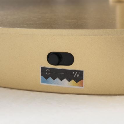 Lampă LED de podea dimabilă KOLK LED/40W/230V 2700/4000K, aurie