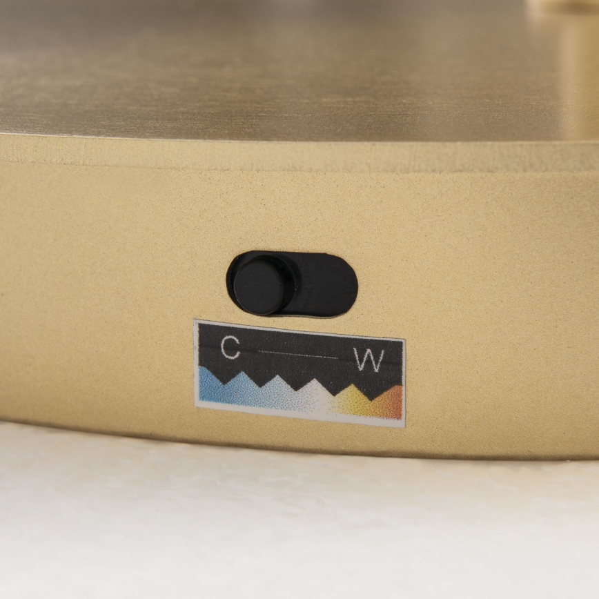 Lampă LED de podea dimabilă KOLK LED/40W/230V 2700/4000K, aurie