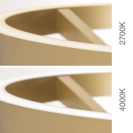 Lampă LED de podea dimabilă KOLK LED/40W/230V 2700/4000K, aurie