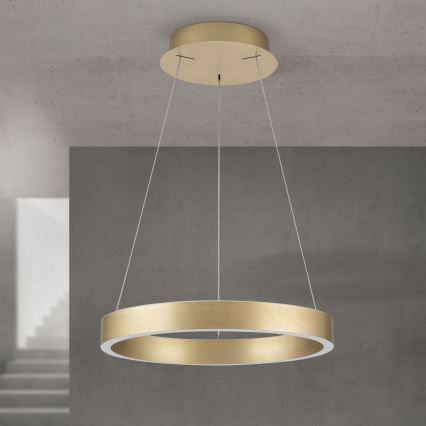 Candelabru LED reglabil pe cablu KOLK LED/40W/230V 2700/3000/4000K Ø 40 cm auriu