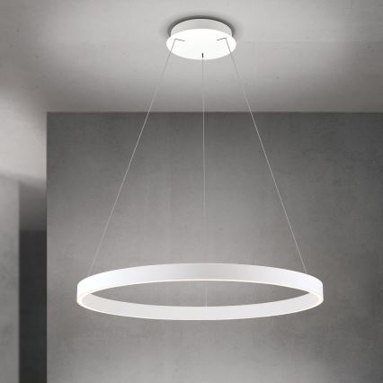 Lustră LED dimerizabilă pe cablu KOLK LED/80W/230V 2700/3000/4000K Ø 80 cm albă