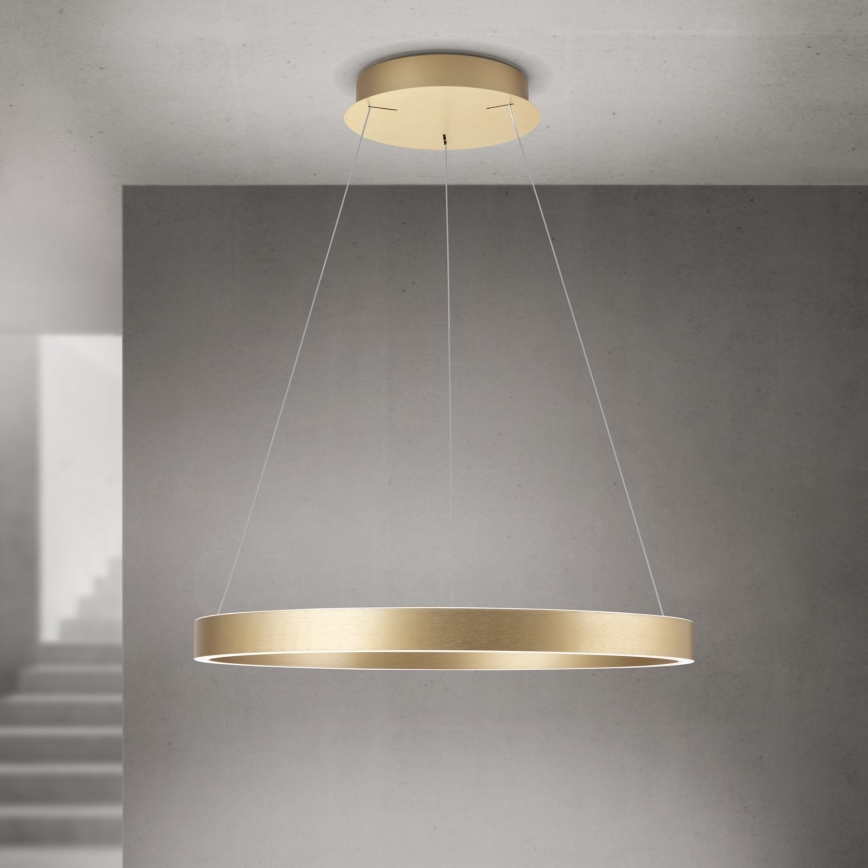 Lustră LED dimabilă pe cablu KOLK LED/60W/230V 2700/3000/4000K Ø 60 cm aurie