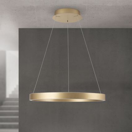 Lustră LED dimabilă pe cablu KOLK LED/60W/230V 2700/3000/4000K Ø 60 cm aurie
