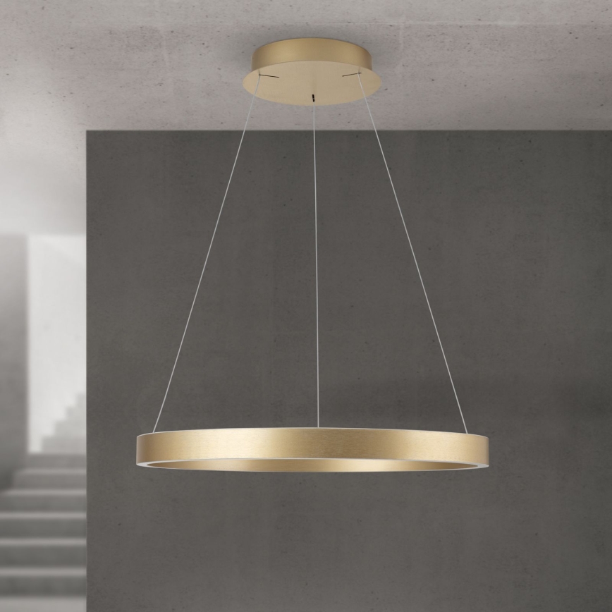 Lustră LED dimabilă pe cablu KOLK LED/60W/230V 2700/3000/4000K Ø 60 cm aurie