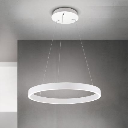 Lustră LED KOLK dimmabilă pe cablu LED/60W/230V 2700/3000/4000K Ø 60 cm alb