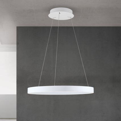 Lustră LED KOLK dimmabilă pe cablu LED/60W/230V 2700/3000/4000K Ø 60 cm alb