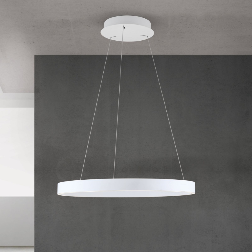 Lustră LED KOLK dimmabilă pe cablu LED/60W/230V 2700/3000/4000K Ø 60 cm alb